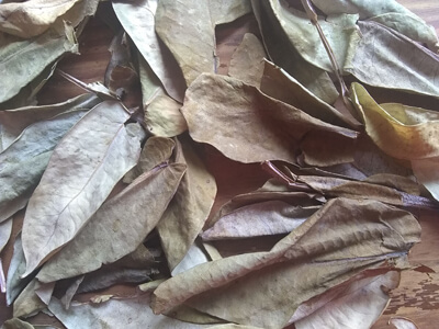 Lumandra diseño de moda